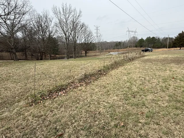 a view of a field with lots of trees