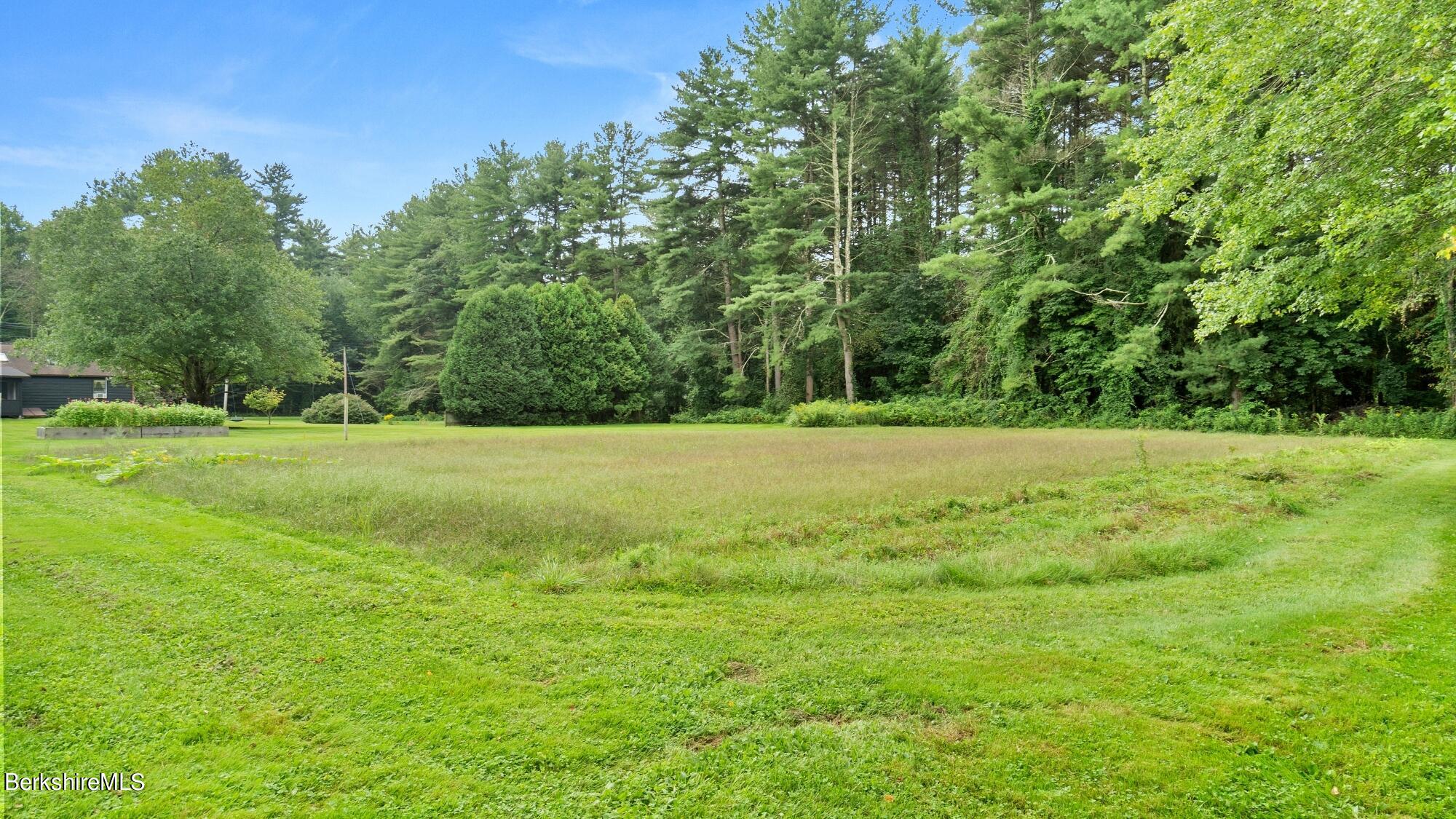 277 County Road Sheffield, MA 01230 - Photo 6 of 30 Cover crop awaiting your vision