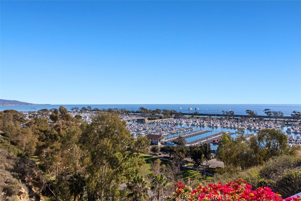24536 Santa Clara Avenue Dana Point, CA 92629 - Photo 47 of 67