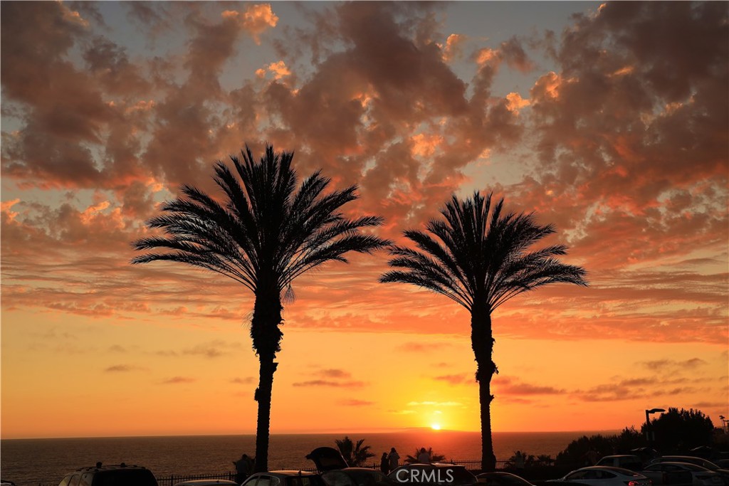 24536 Santa Clara Avenue Dana Point, CA 92629 - Photo 66 of 67