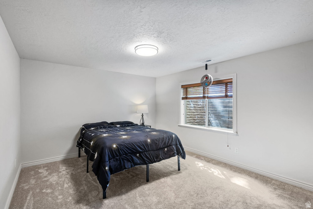 882 Sego Lily Way Mapleton, UT 84664 - Photo 26 of 41 Carpeted room featuring a white ceiling, recessed window with wood-finish blinds, and a flush-mount ceiling light fixture