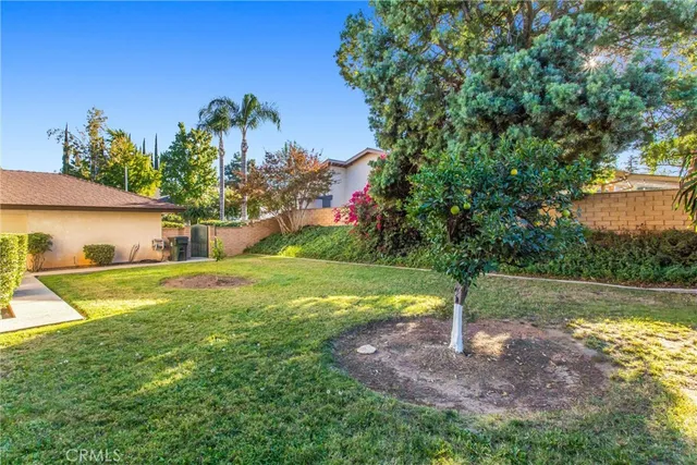 a view of a house with backyard and a tree