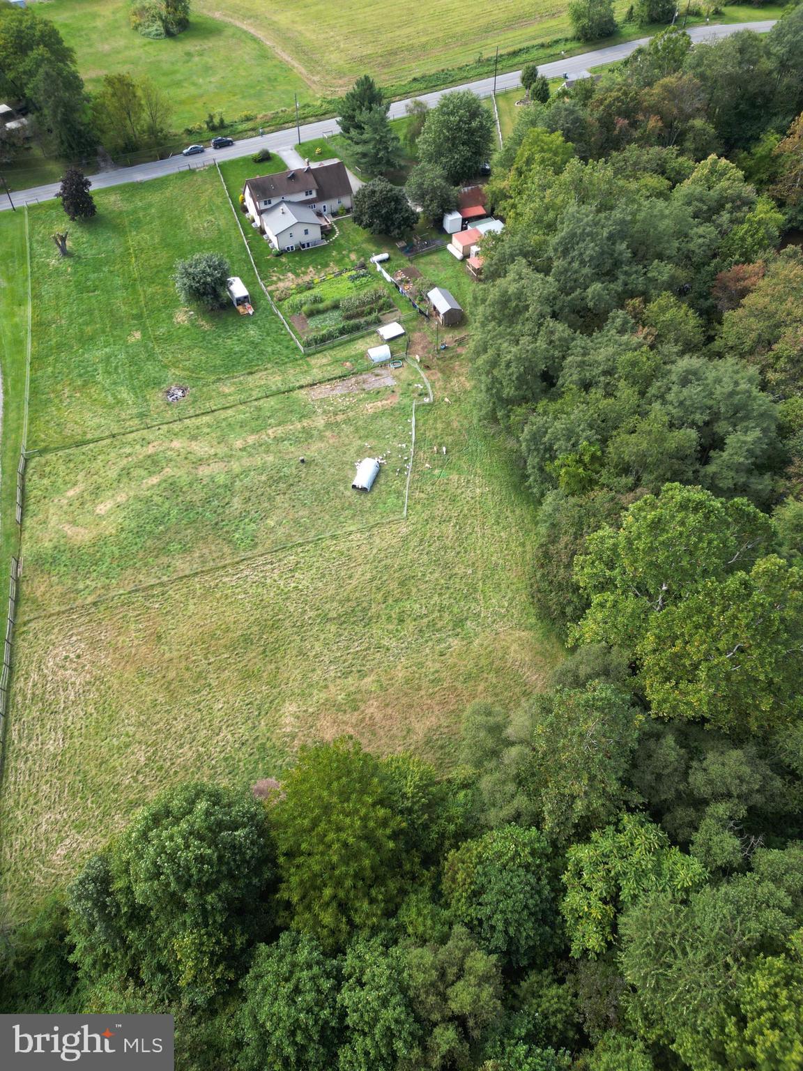 69 Fairview Road New Providence, PA 17560 - Photo 19 of 59 a view of a big yard with plants and large tree