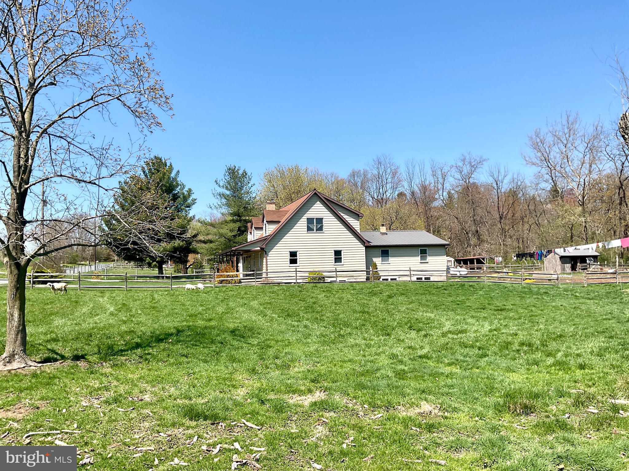 69 Fairview Road New Providence, PA 17560 - Photo 8 of 59 a view of a big yard with potted plants and large trees