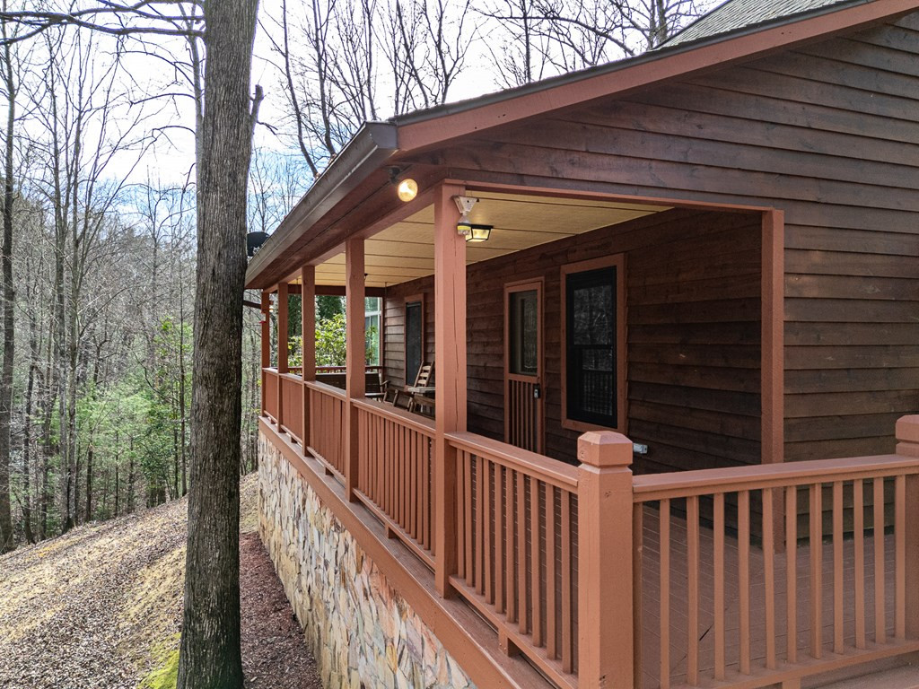 41 Carvers Vw Trail Murphy, NC 28906 - Photo 4 of 46