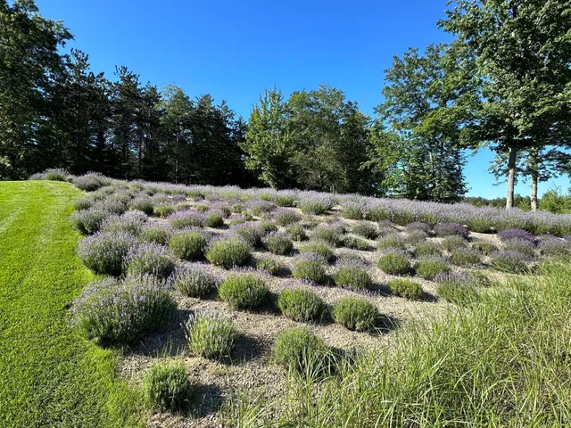 $1,499,999 | 16527 Lake Michigan Drive, Grand Haven, MI 49417