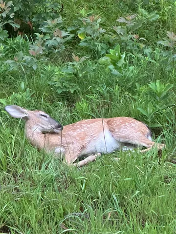 $1,499,999 | 16527 Lake Michigan Drive, Grand Haven, MI 49417