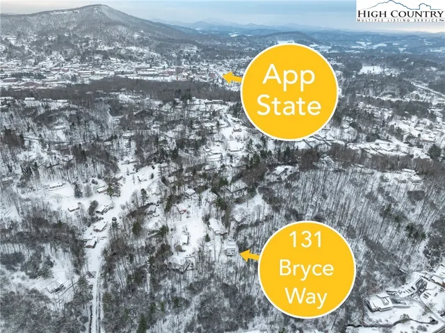 a view of a blue and white trees