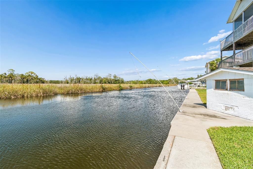 5247 Tropical Point Weeki Wachee, FL 34607 - Photo 83 of 95