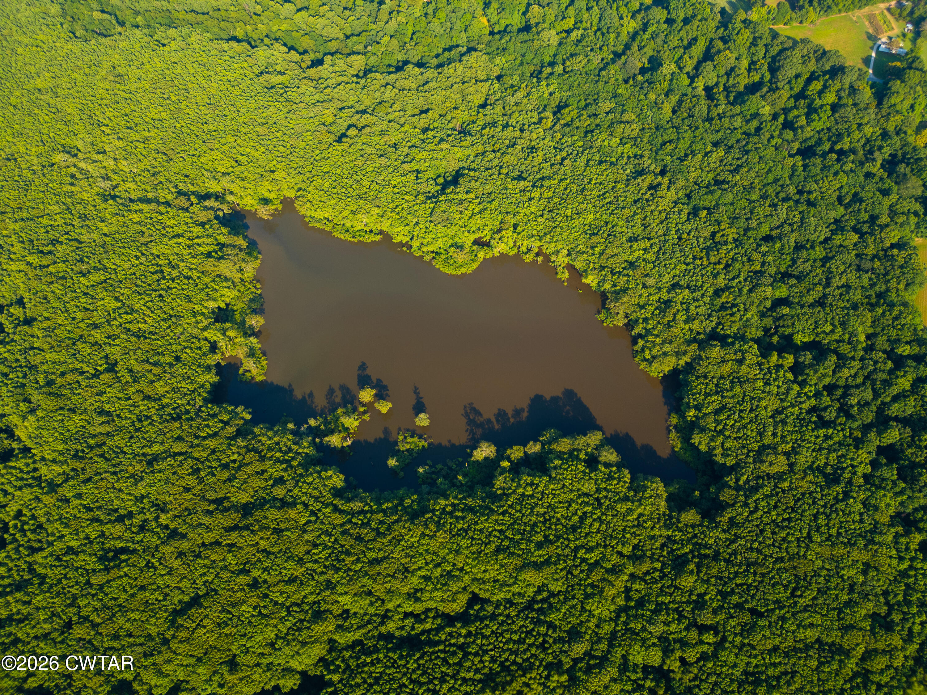 0 Chisholm Lake Road Ripley, TN 38063 - Photo 10 of 14 DJI_0019 copy
