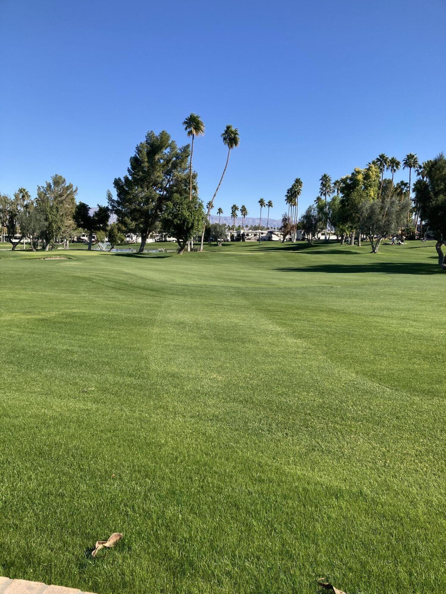 69411 Ramon Road, Unit 776 Cathedral City, CA 92234 - Photo 9 of 17 a view of a green field