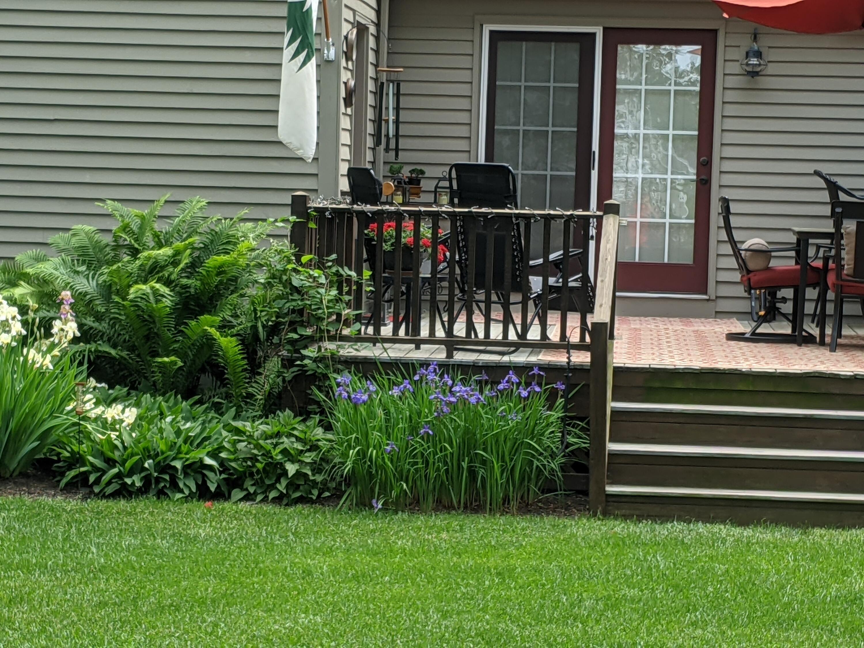 5 Underwood Way Windham, ME 04062 - Photo 49 of 58 PXL_20210608_194059429