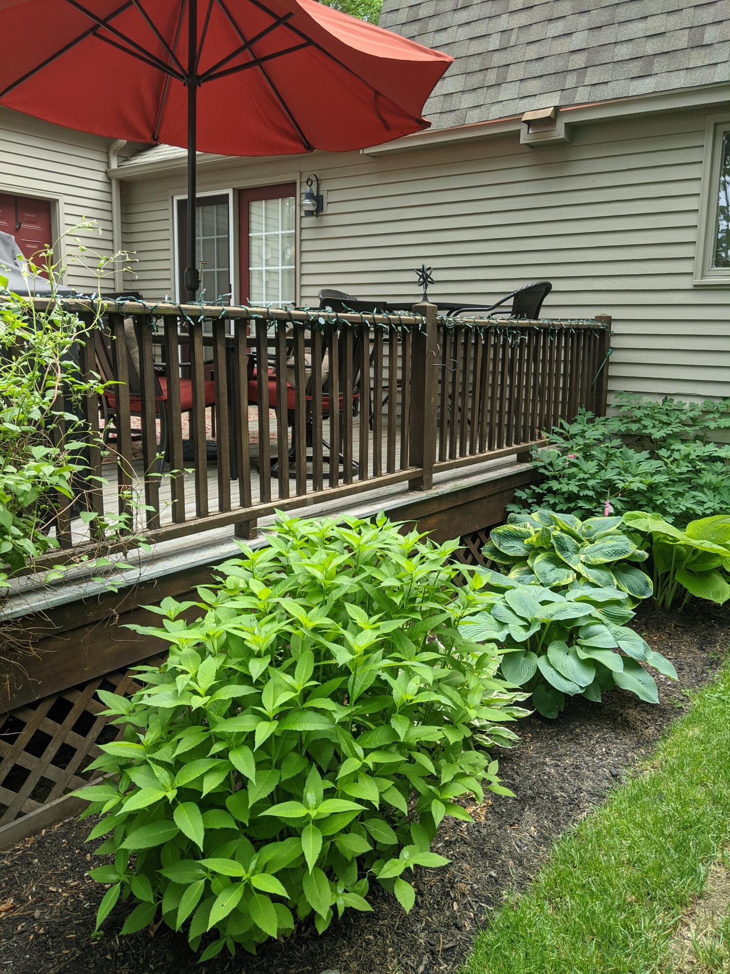 5 Underwood Way Windham, ME 04062 - Photo 5 of 58 PXL_20210608_193923058