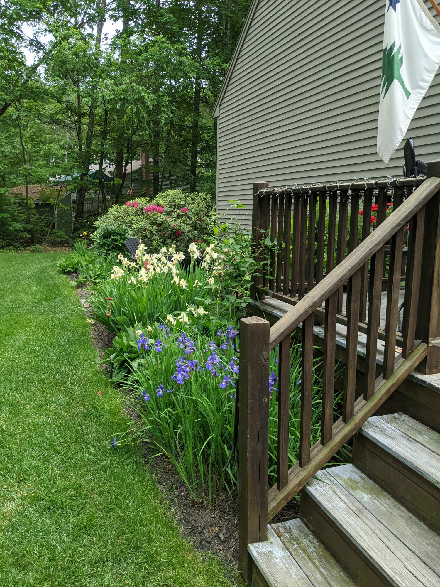 5 Underwood Way Windham, ME 04062 - Photo 54 of 58 PXL_20210608_193936576