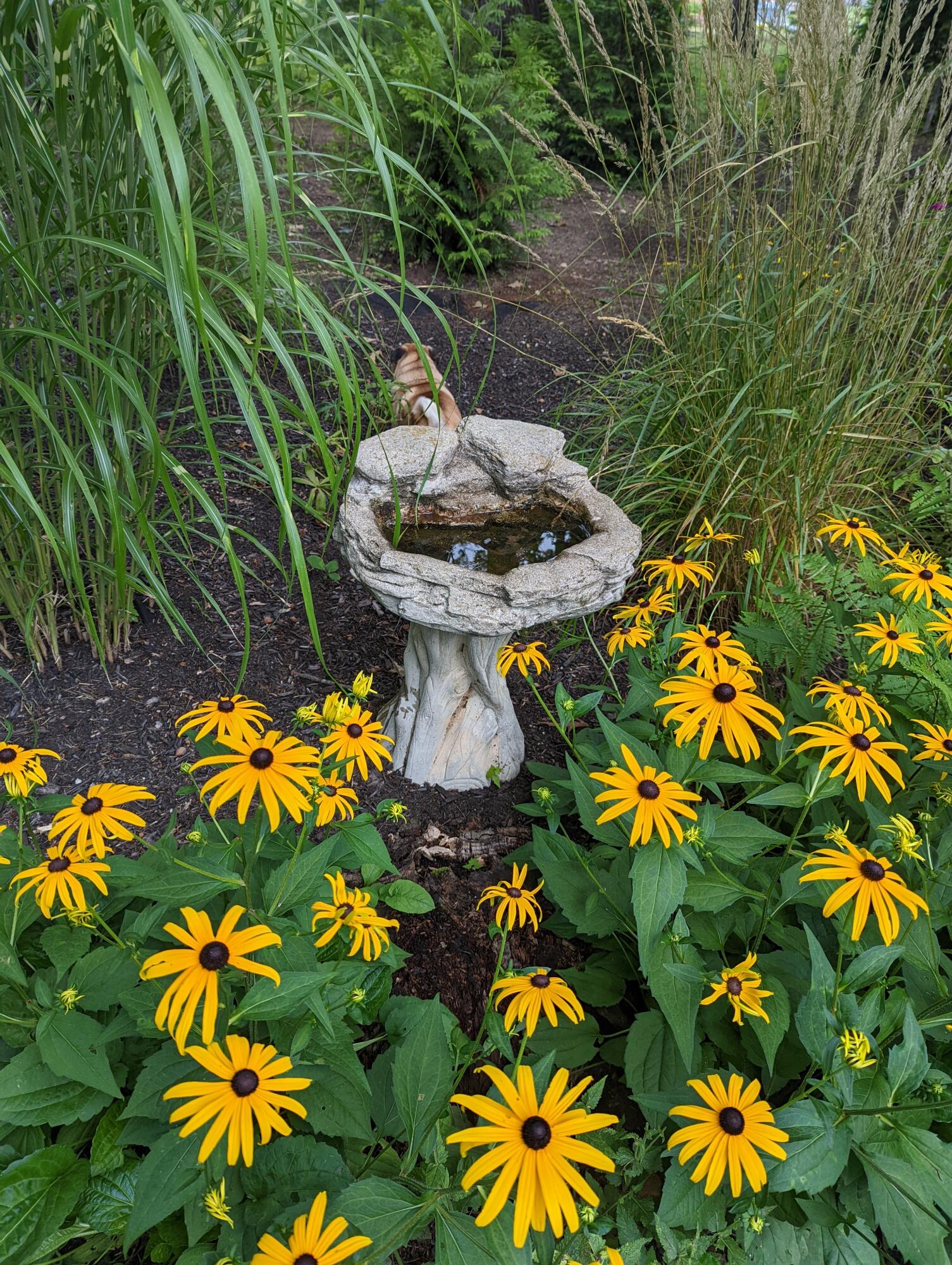 5 Underwood Way Windham, ME 04062 - Photo 58 of 58 PXL_20230807_111552487