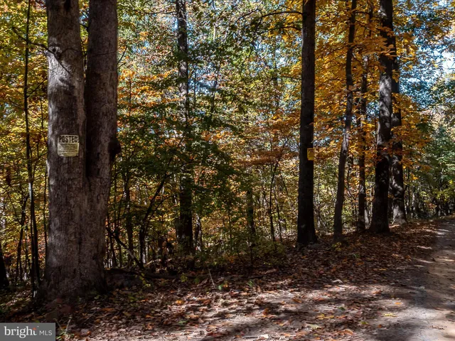 a view of outdoor space and trees