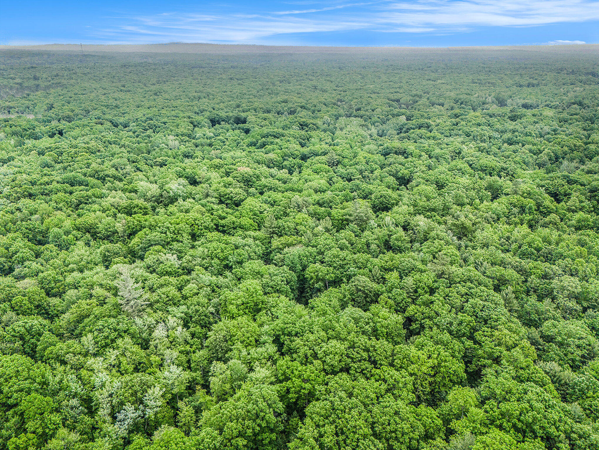 441 North Benson Road Custer, MI 49405 - Photo 30 of 35 029_dji_20250609133934_0972_d_417