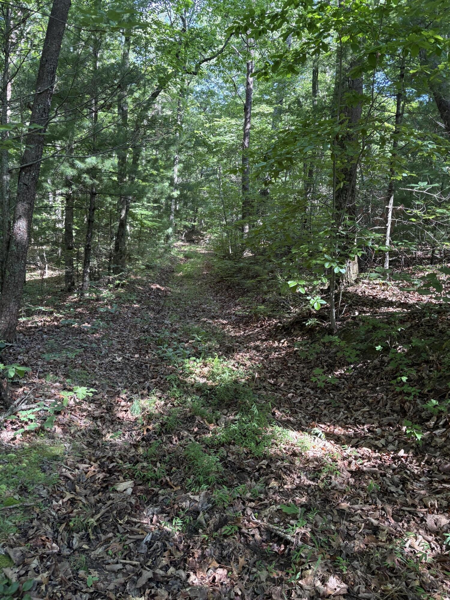 2 Old Furnace Road Tellico Plains, TN 37385 - Photo 12 of 18 Gallery Image 12