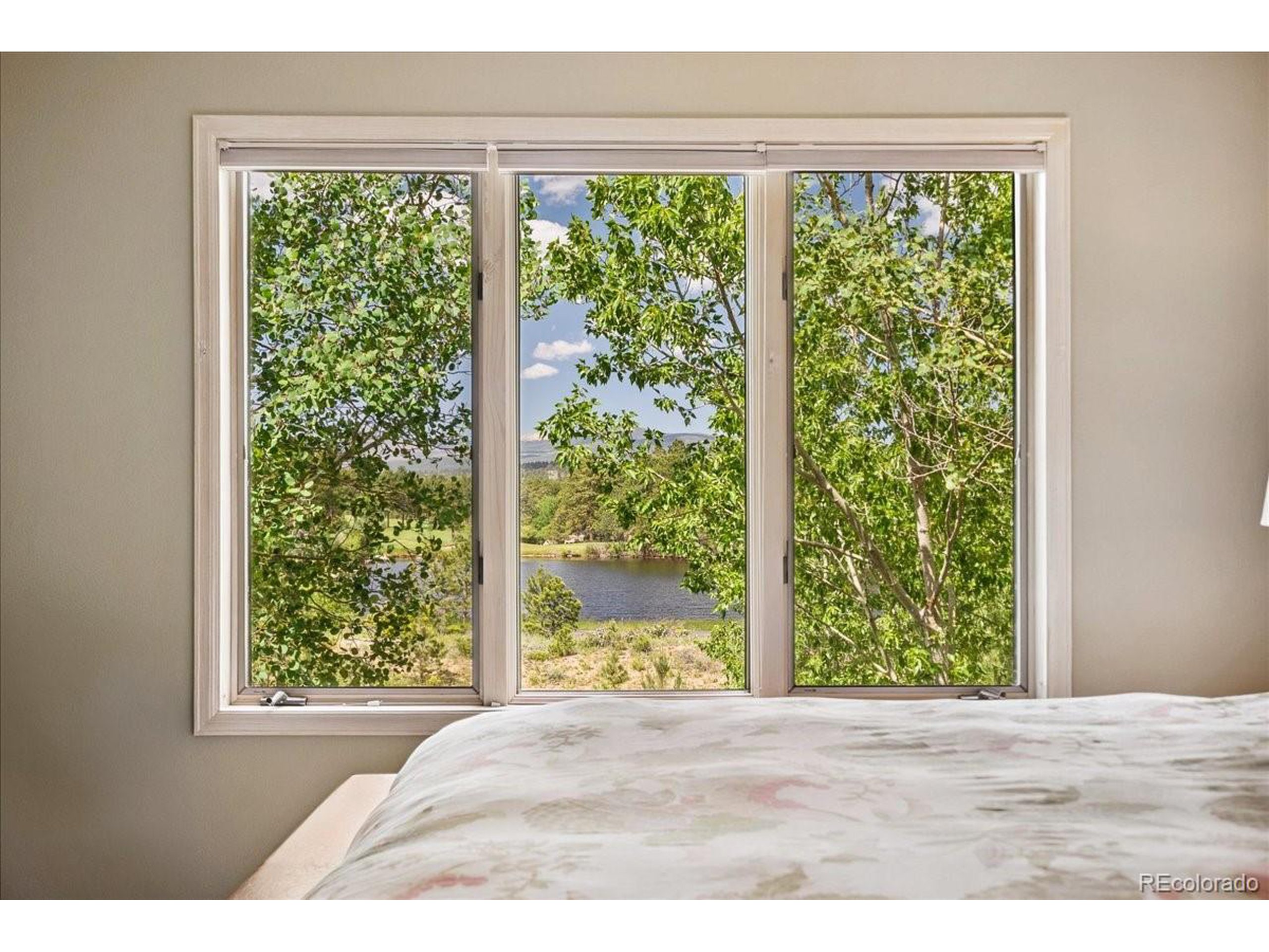 40 Three Lks Court Red Feather Lakes, CO 80545 - Photo 27 of 48 a view of a garden from a window