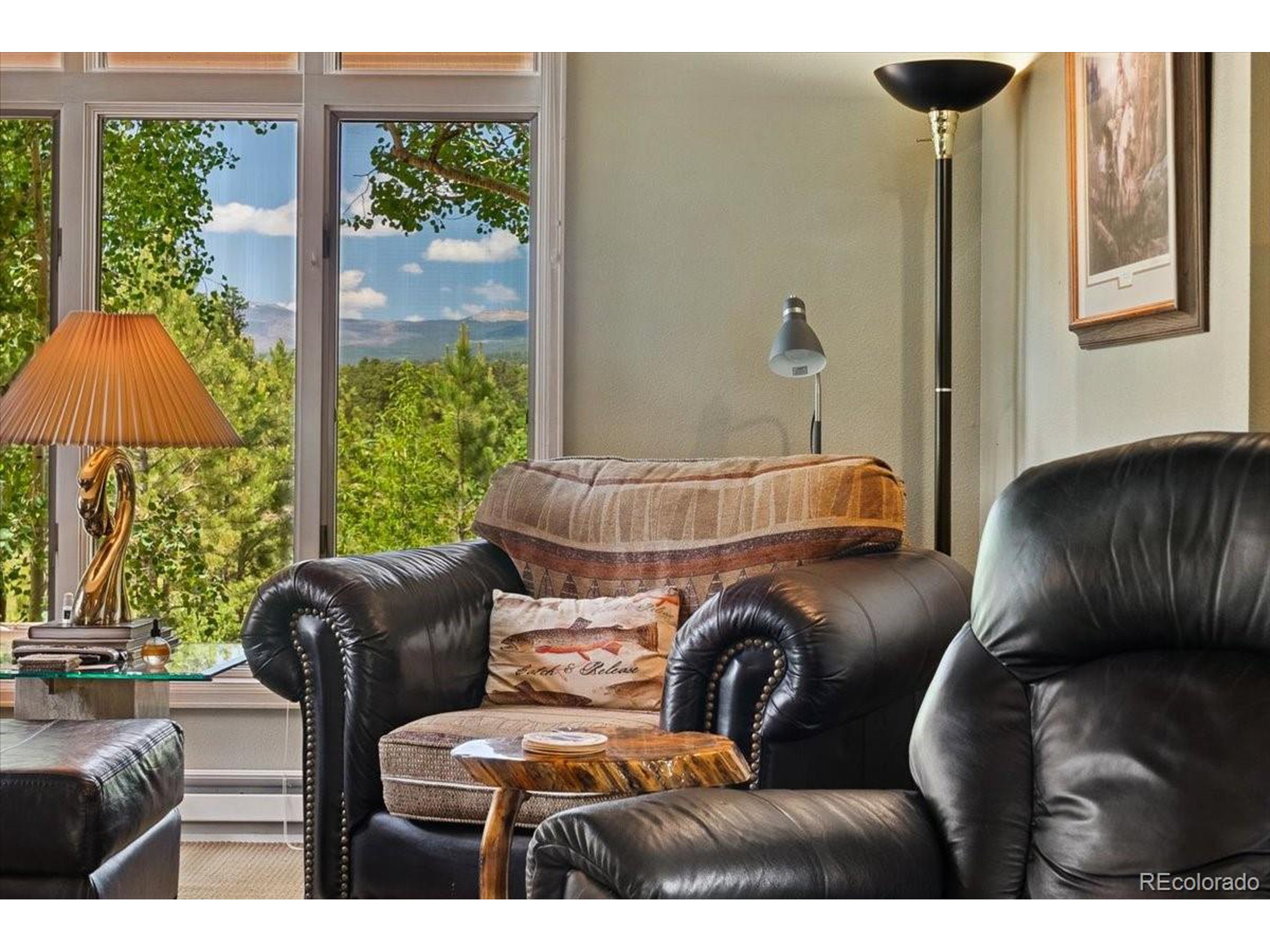 40 Three Lks Court Red Feather Lakes, CO 80545 - Photo 8 of 48 a living room with furniture and a window