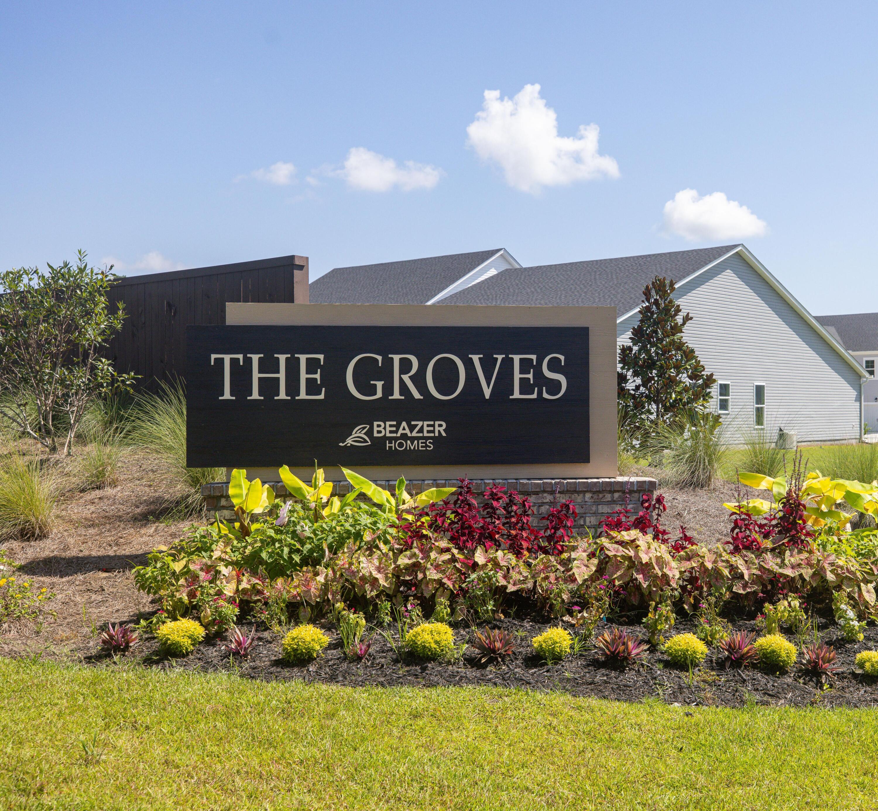 470 White Magnolia Street Moncks Corner, SC 29461 - Photo 15 of 20 Welcome to The Groves