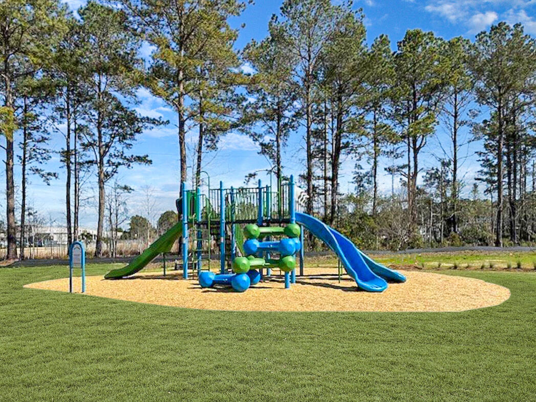 470 White Magnolia Street Moncks Corner, SC 29461 - Photo 16 of 20 The Groves Tot Lot