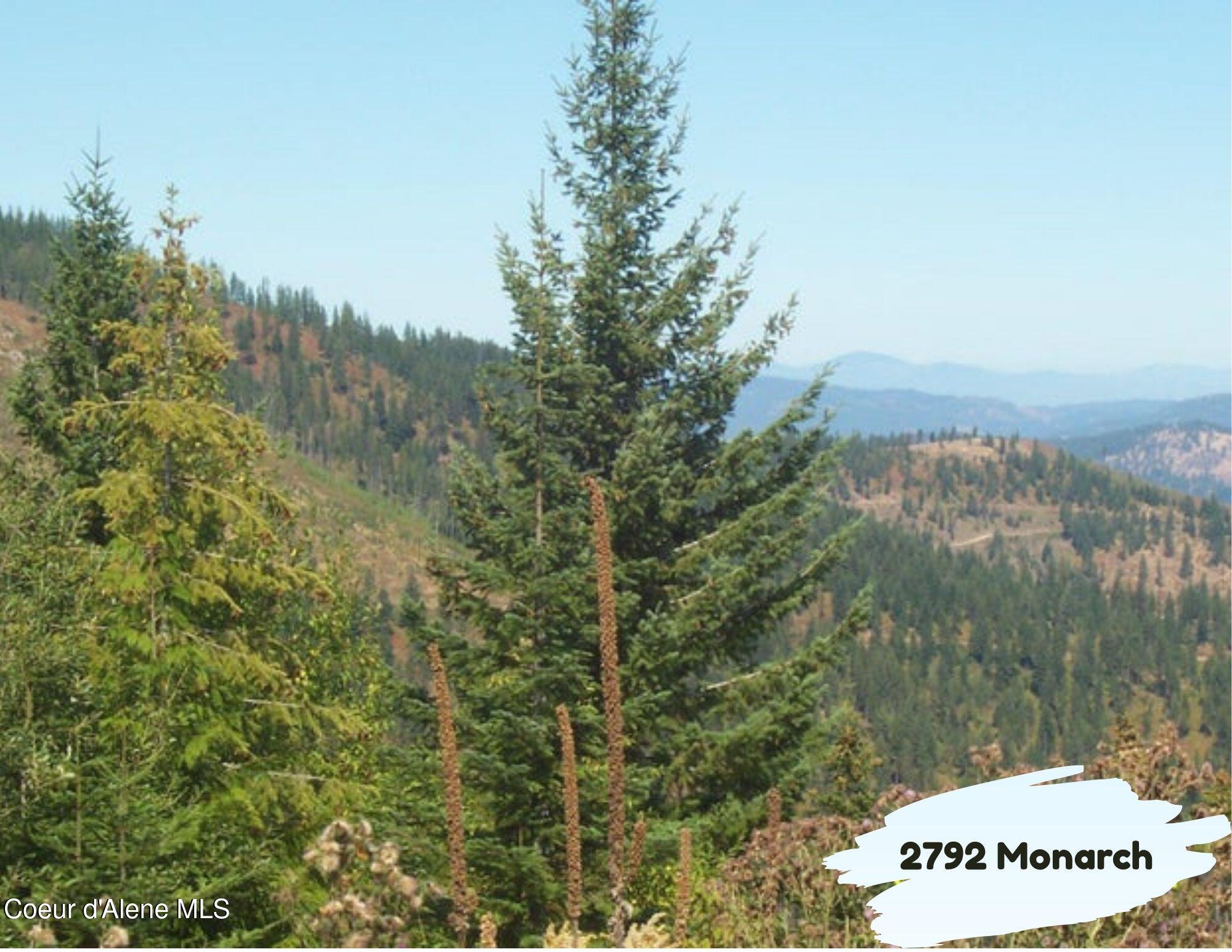 2792 Monarch Rd Street St. Maries, ID 83861 - Photo 3 of 7 2792 Monarch (6)