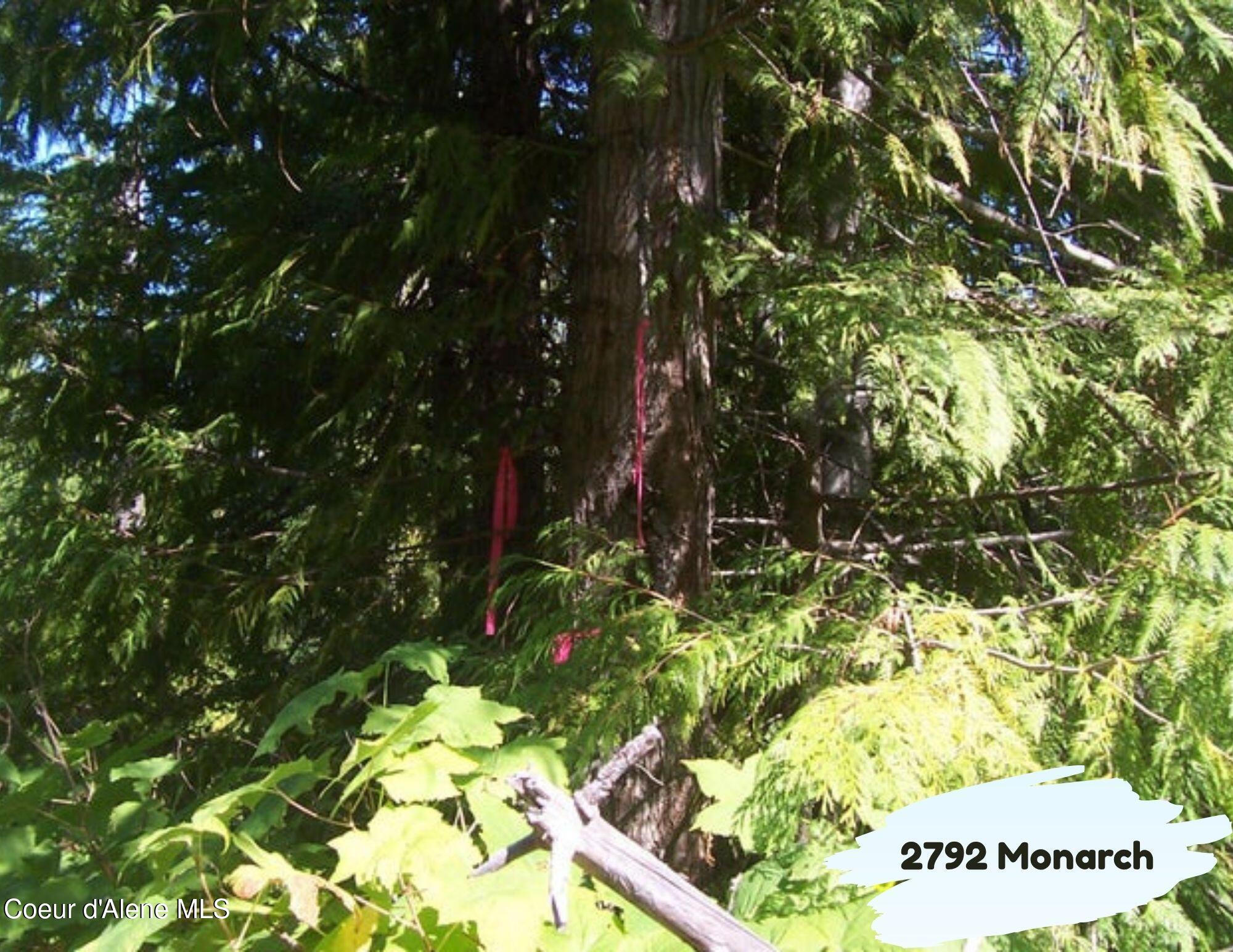 2792 Monarch Rd Street St. Maries, ID 83861 - Photo 7 of 7 2792 Monarch