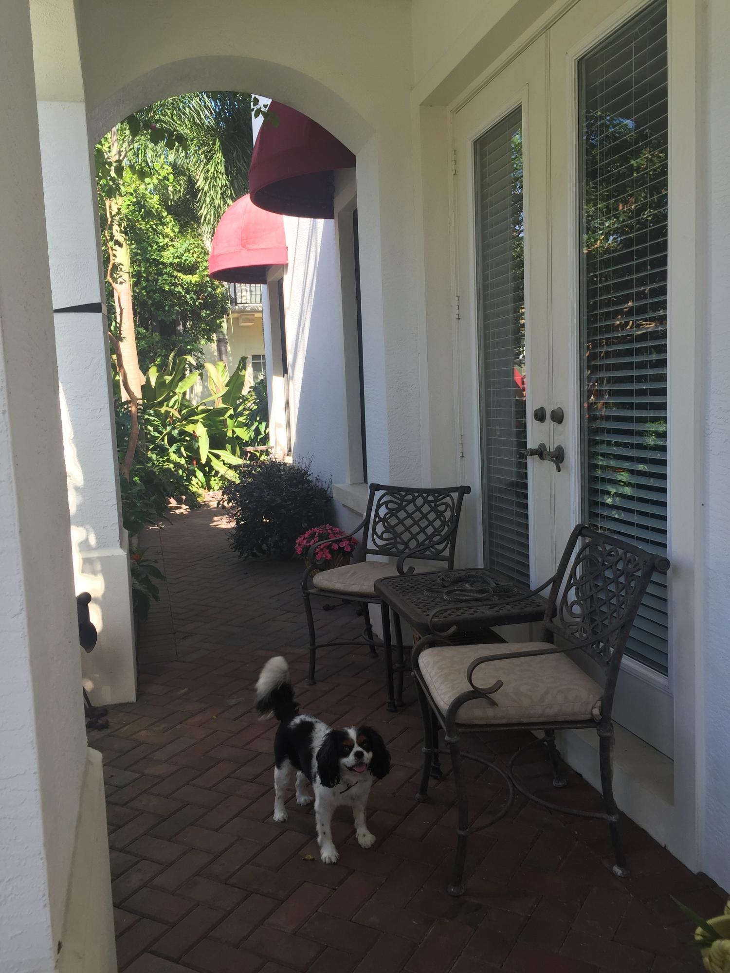 590 Northwest Crane Terrace Boca Raton, FL 33432 - Photo 19 of 43 front paver path to patio