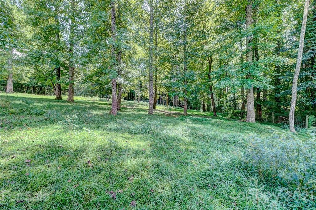 1328 Tot Dellinger Road Cherryville, NC 28021 - Photo 38 of 48 Gallery Image 38