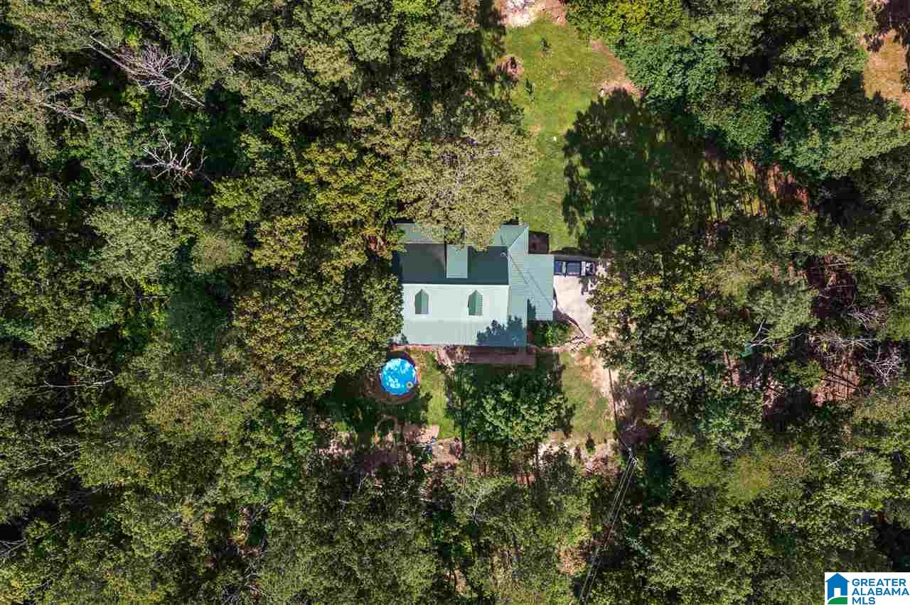 56304 Highway 231 Oneonta, AL 35121 - Photo 43 of 50