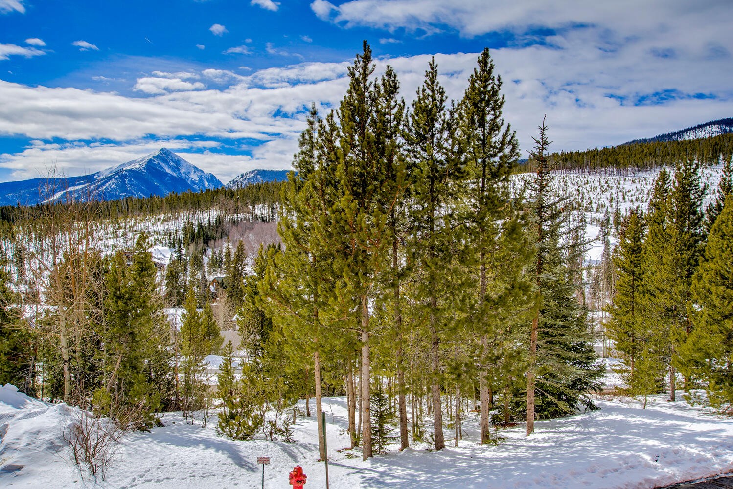 91500 Ryan Gulch Road, Unit 91511 Silverthorne, CO 80498 - Photo 44 of 45