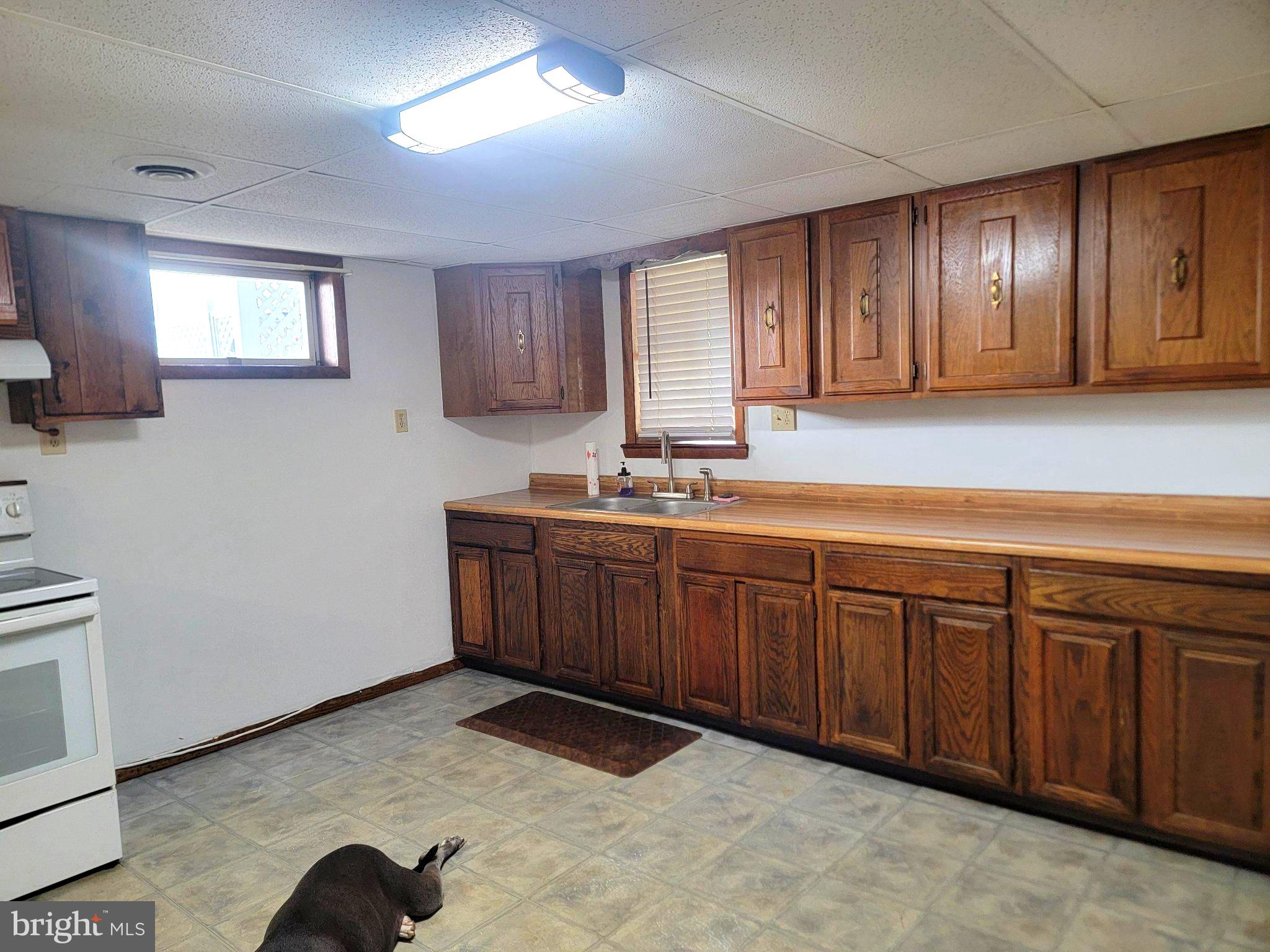32115 Mud Lick Road Northeast Little Orleans, MD 21766 - Photo 23 of 39 Lower-level kitchen area