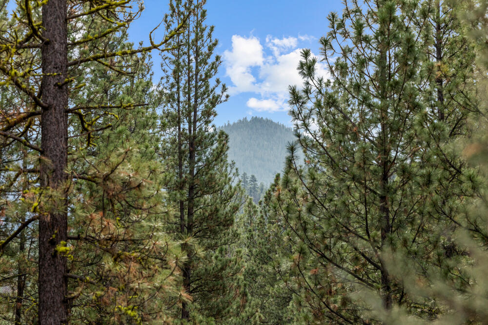 13423 Sprague River Road, Unit 1 Chiloquin, OR 97624 - Photo 45 of 46 Part of the saddle of Saddle Mountain!