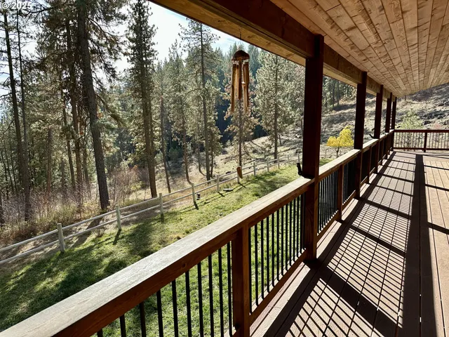 a view of back yard of the house