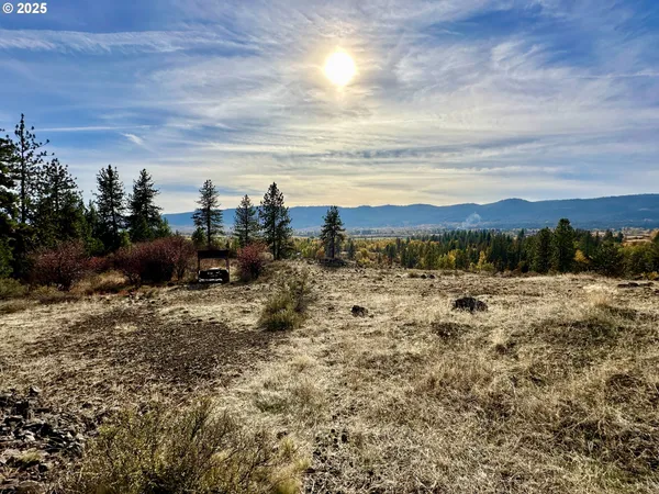 $699,000 | 48144 East Pine Creek Road, Halfway, OR 97834