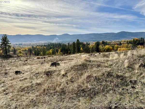 $699,000 | 48144 East Pine Creek Road, Halfway, OR 97834