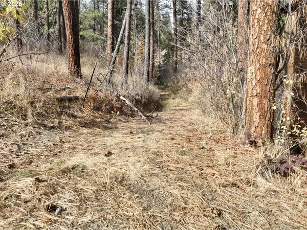 $699,000 | 48144 East Pine Creek Road, Halfway, OR 97834