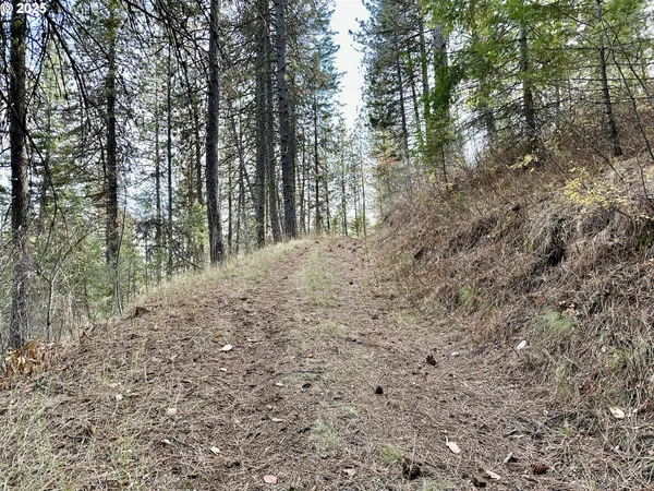 $699,000 | 48144 East Pine Creek Road, Halfway, OR 97834