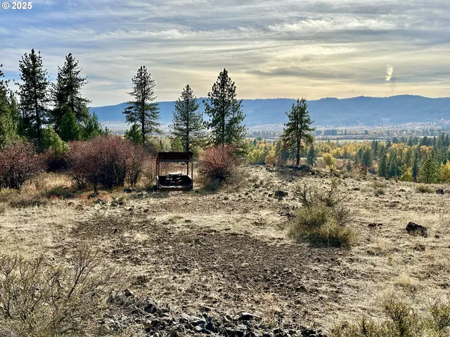 a view of a large space with trees in the background