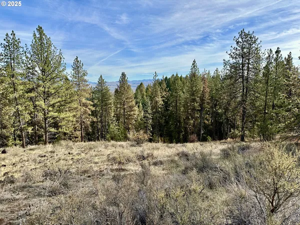 $699,000 | 48144 East Pine Creek Road, Halfway, OR 97834