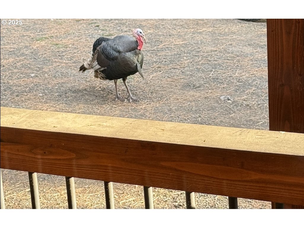 48144 East Pine Creek Road Halfway, OR 97834 - Photo 37 of 48 a view of a floor
