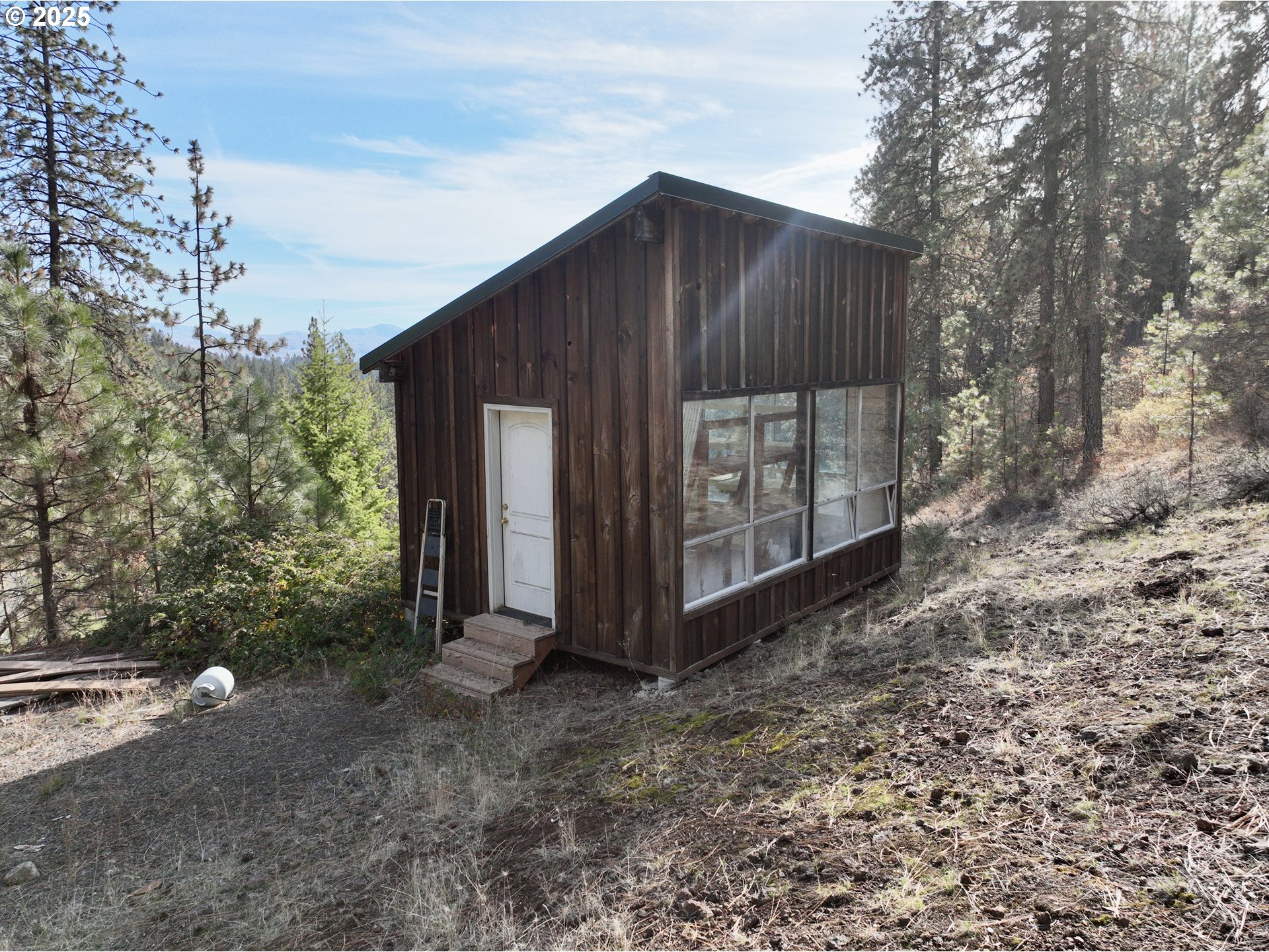 48144 East Pine Creek Road Halfway, OR 97834 - Photo 41 of 48 a view of backyard with large trees and wooden fence