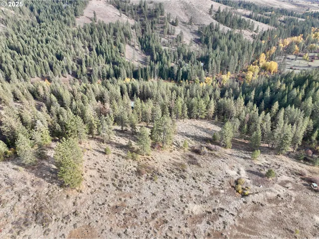 a view of a dry yard with mountains in the background