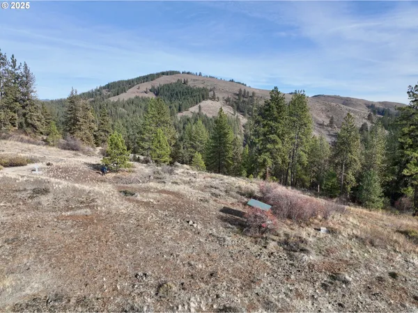 $699,000 | 48144 East Pine Creek Road, Halfway, OR 97834