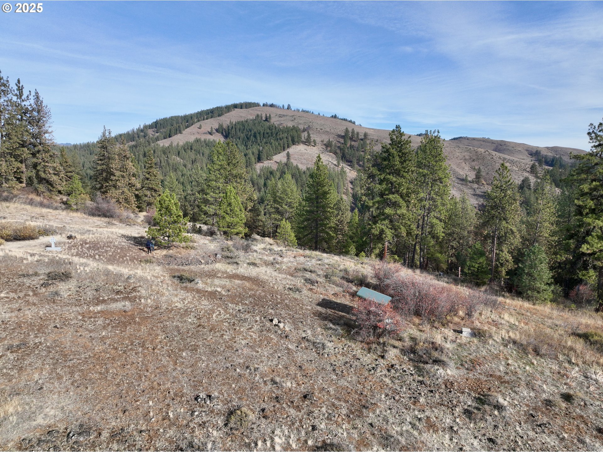 48144 East Pine Creek Road Halfway, OR 97834 - Photo 45 of 48 a view of a dry yard with mountains in the background