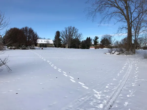 $585,000 | 1335 North Silo Ridge Drive, Ann Arbor, MI 48108