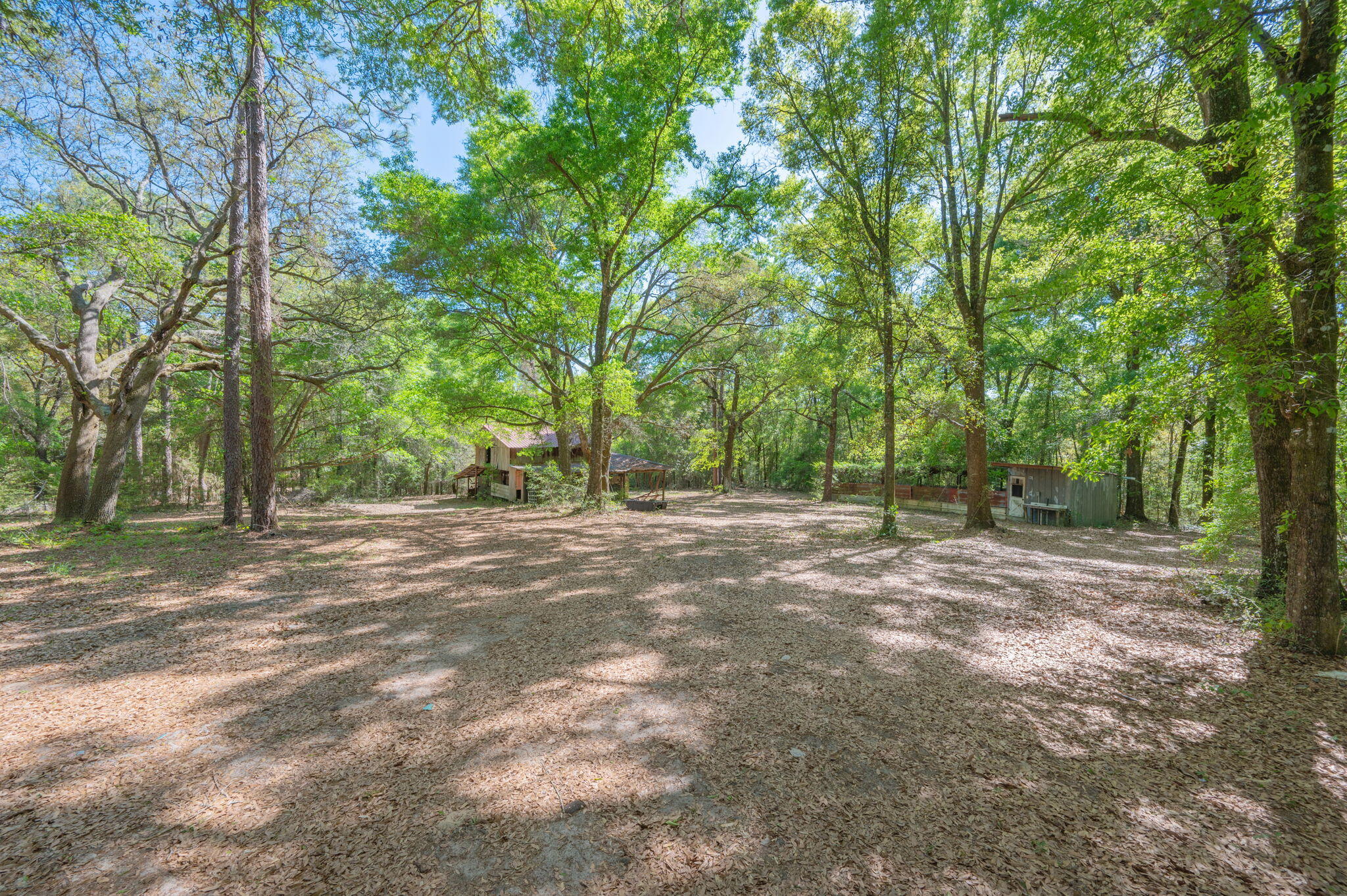 5630 Buckward Road Baker, FL 32531 - Photo 40 of 46 42-web-or-mls-5630-buck-ward-rd