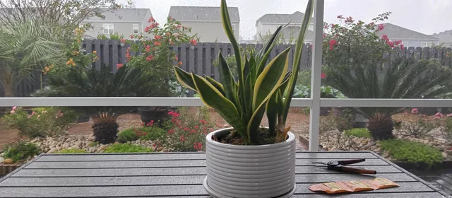 $539,000 | 2808 Stellar Loop, Myrtle Beach, SC 29577