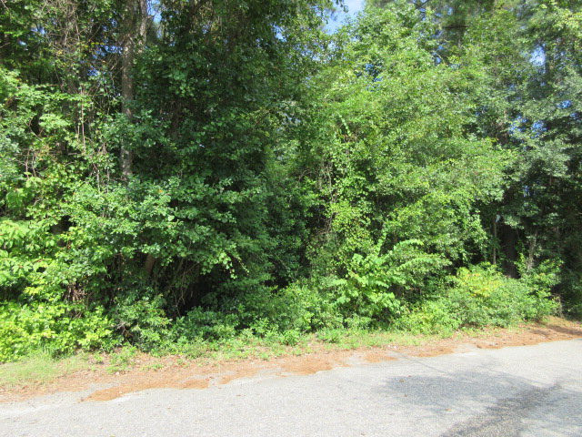 974 Meadowbrook Road Sumter, SC 29153 - Photo 2 of 9 Photo 3